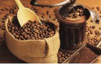 Фабрика аромата: какую кофемашину выбрать для кафе или ресторана?
